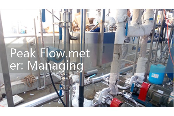 Peak Flow.meter: Managing Daily Bronchial Airway Action Plan Zones